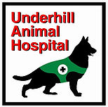 Home | Veterinarian in Orlando, FL | Underhill Animal Hospital